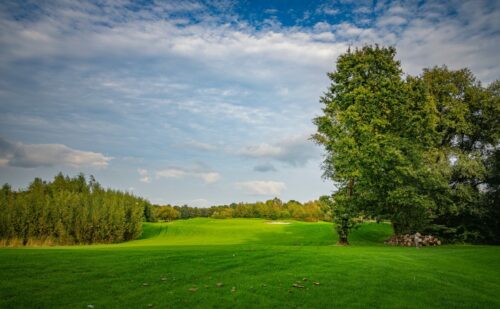 Different Types of Golf Course Grass