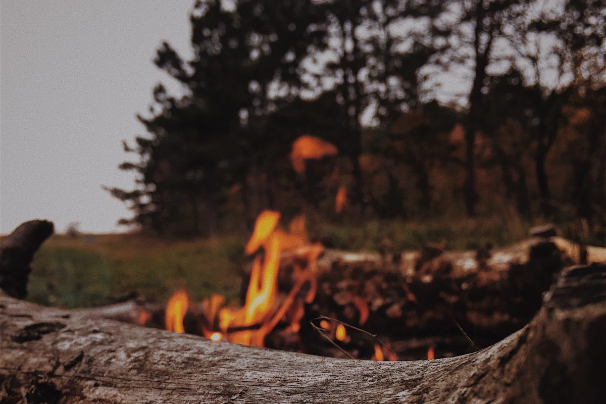 Fire burning near a forest