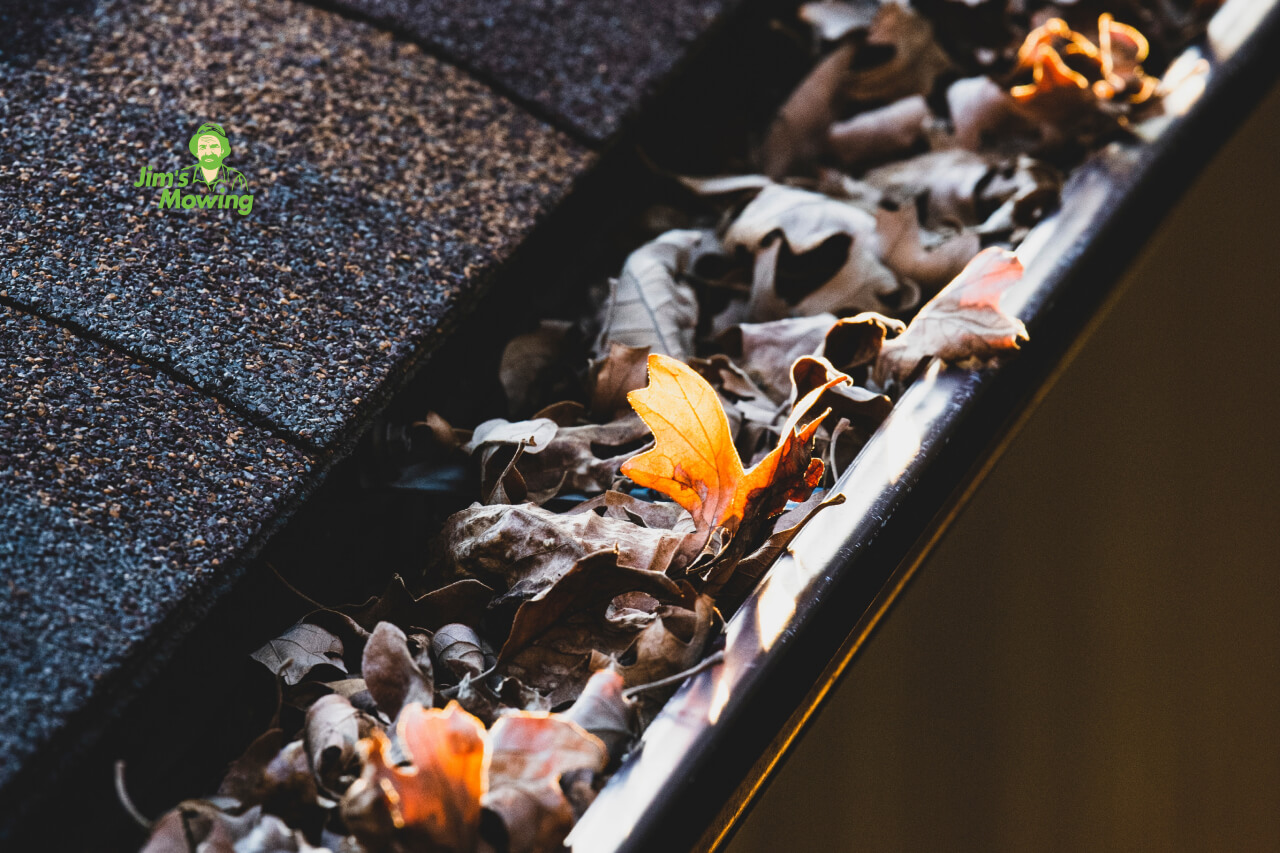 autumn leaves in roof gutter