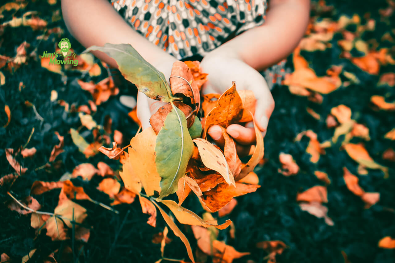 autumn leaves on hand