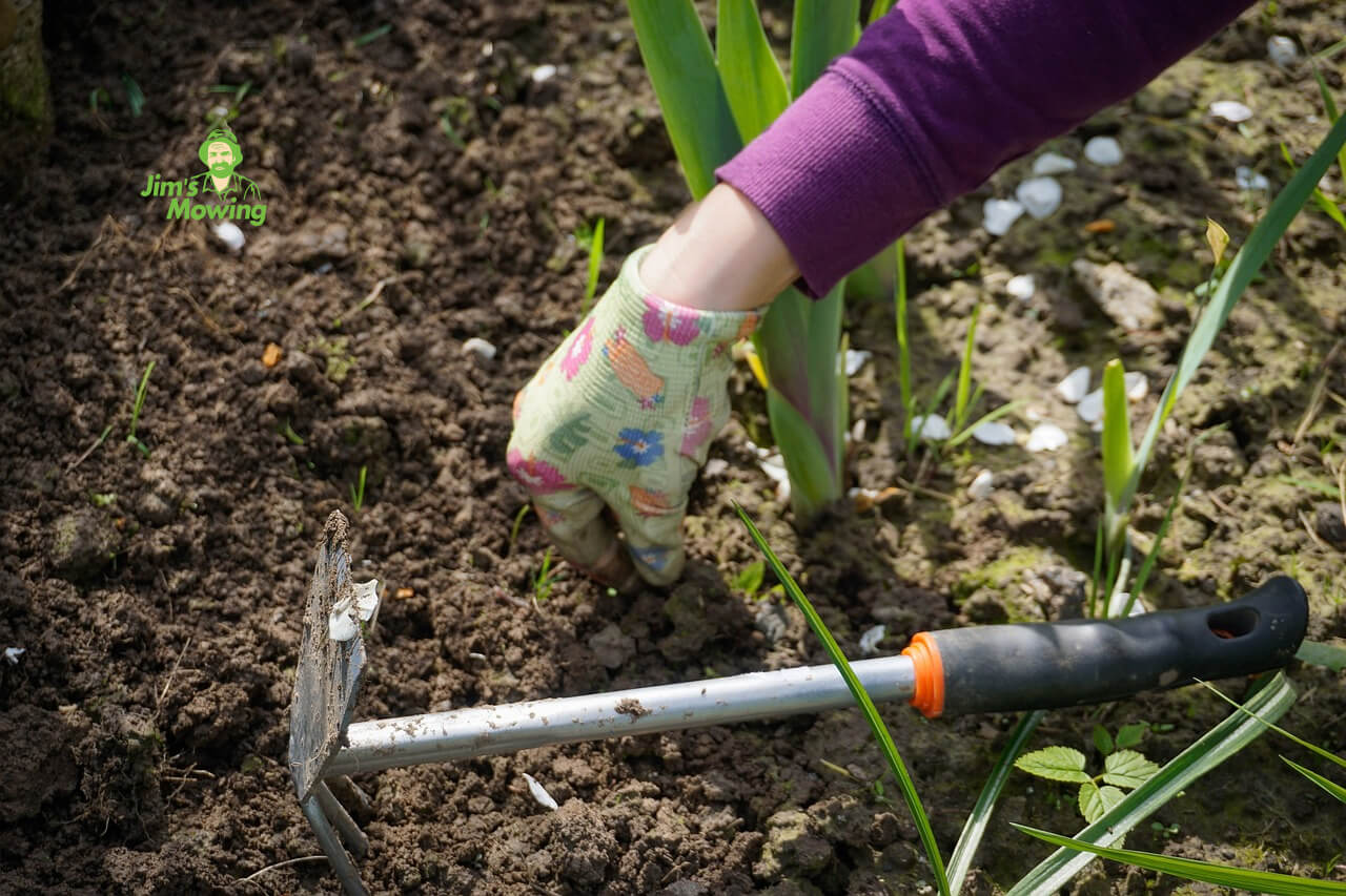 Weeding in the Garden