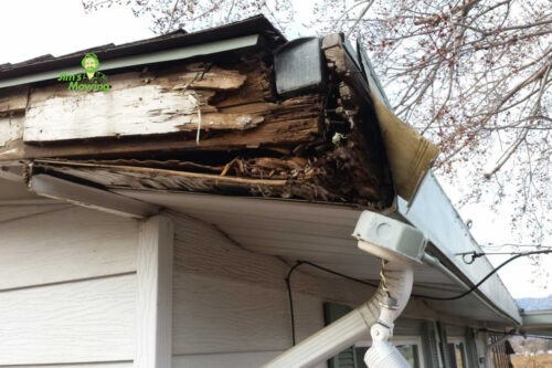 Dangers of Not Cleaning Gutters