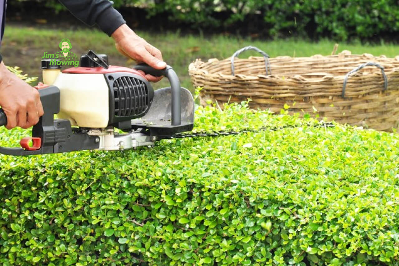 Hedge Trimming