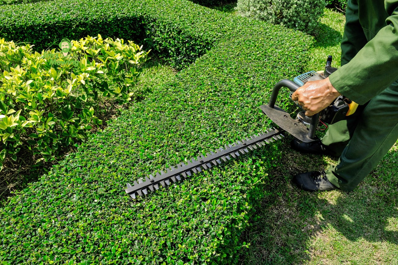 Jims Mowing - Hedge Trimming