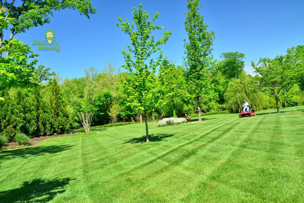 Lawn mowing techniques