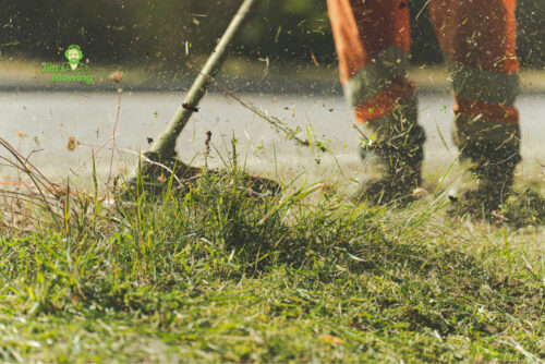 How To Mow An Overgrown Lawn