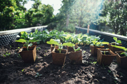 Raised Garden Bed Ideas