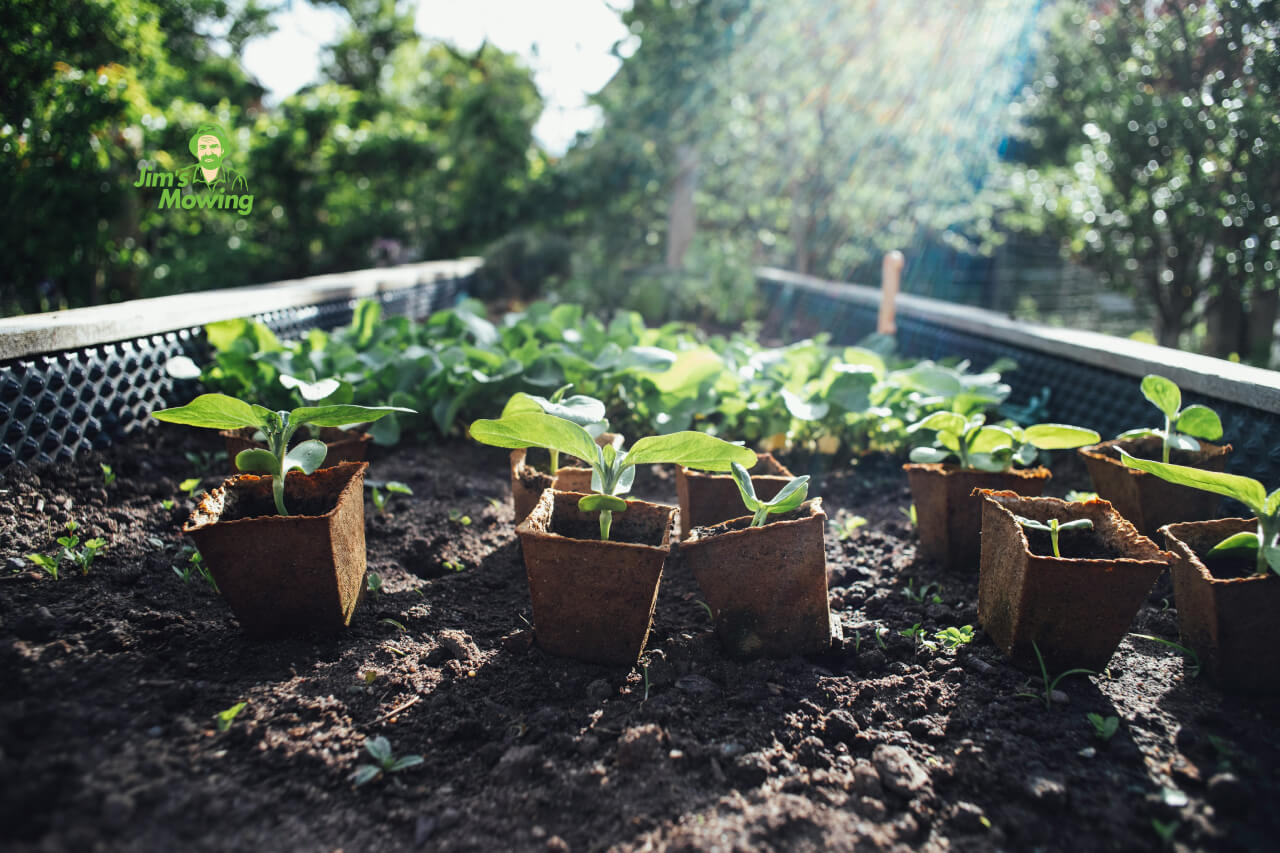 Raised Bed