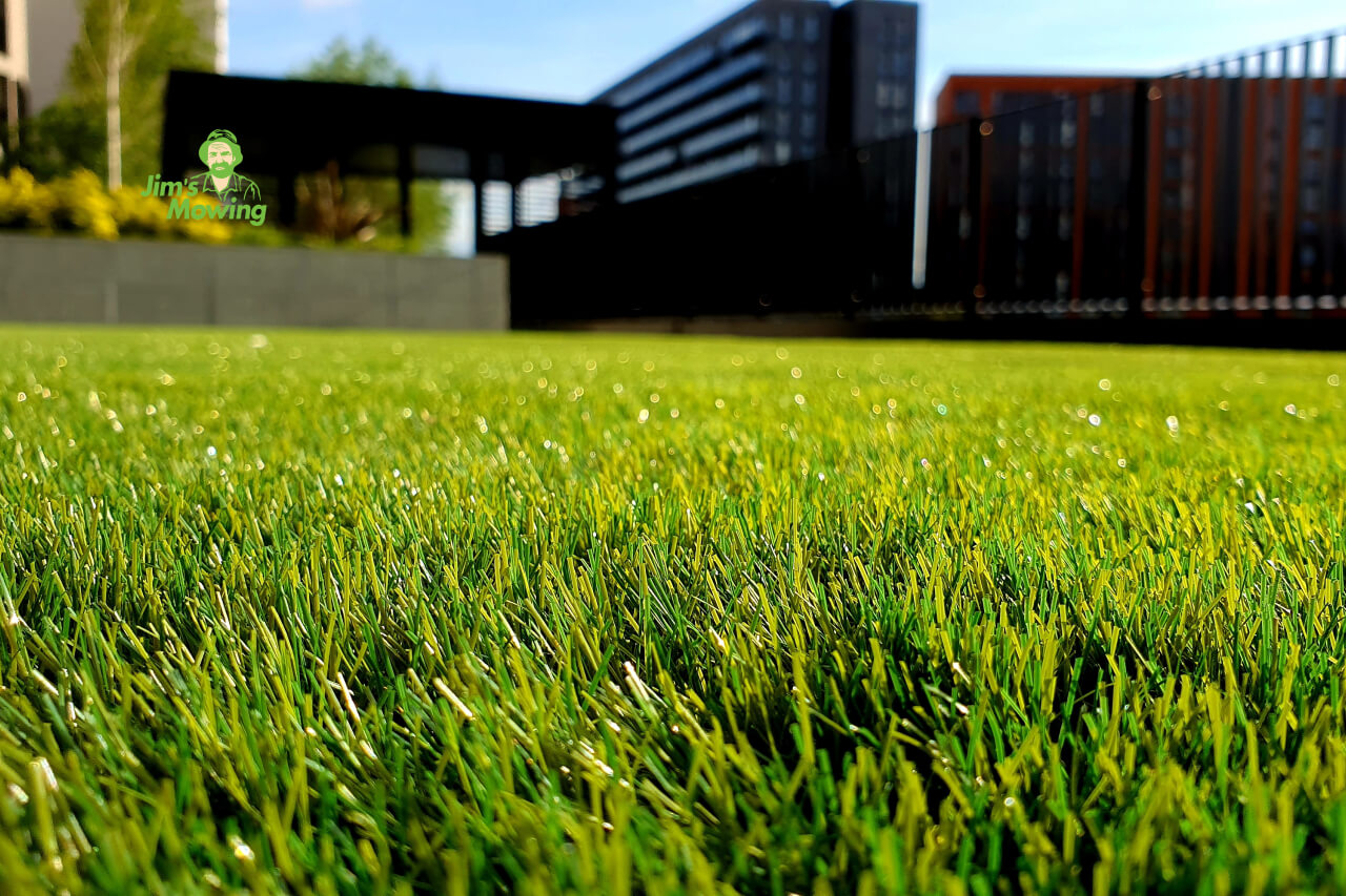 Jims Mowing - Shade Tolerant Lawns