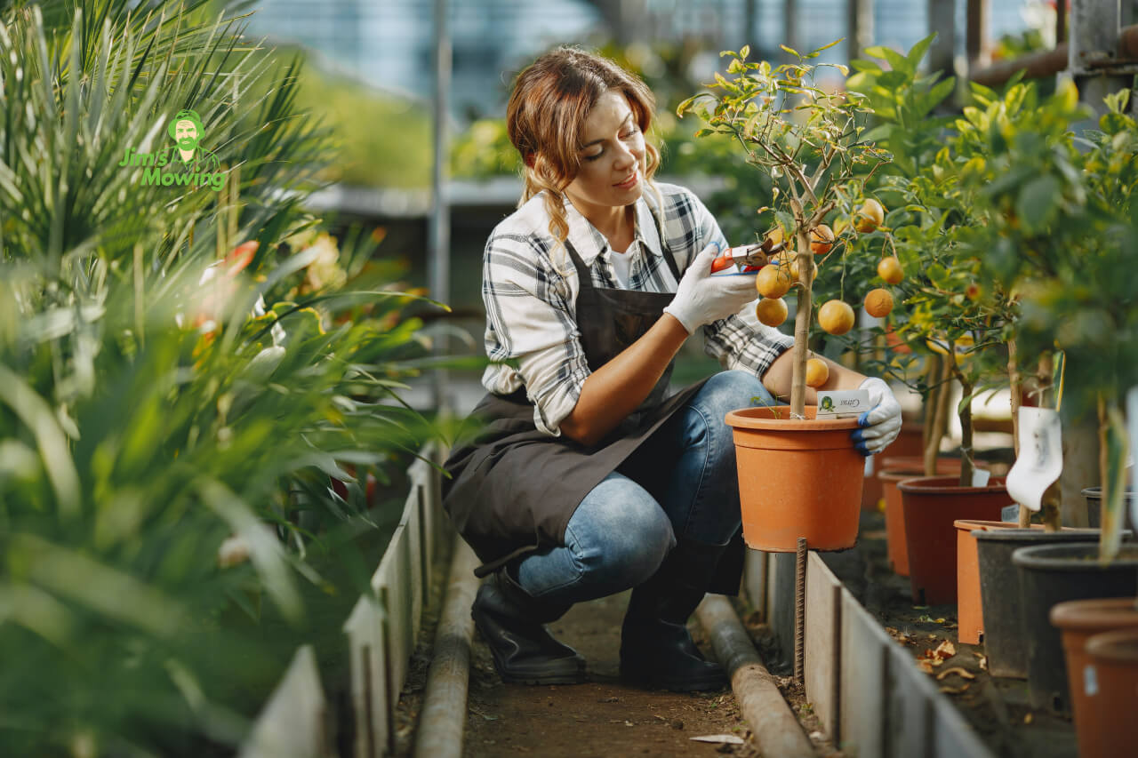 woman pruning a fruit tree