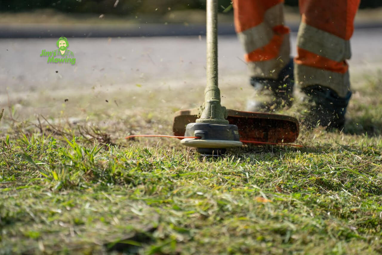 lawn trimming using a whipper snipper