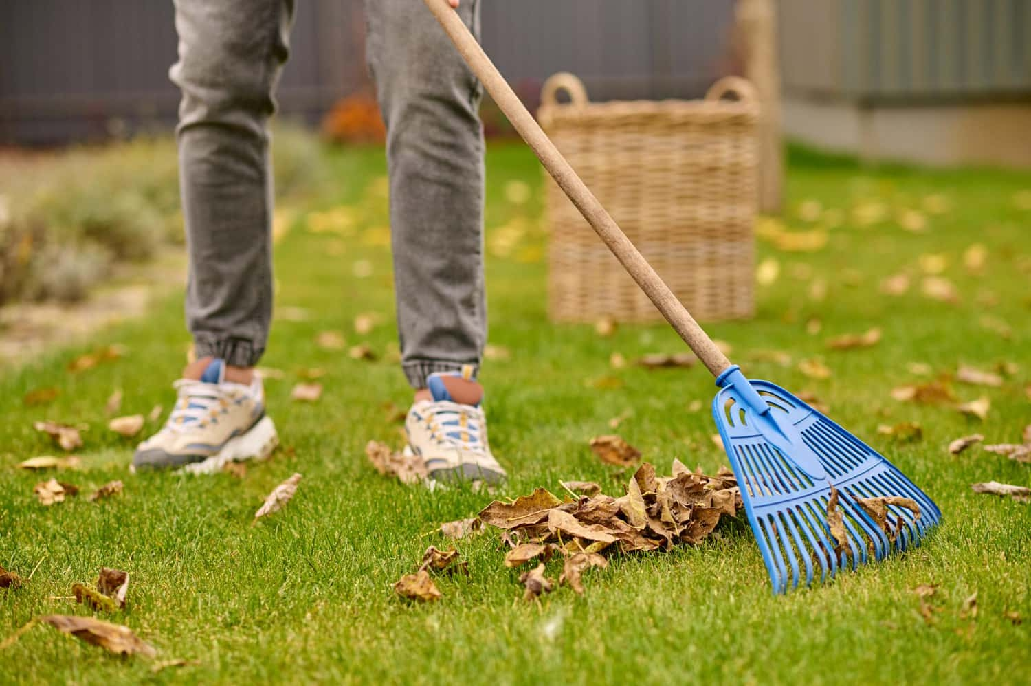 Lawn Dethatching guide- jim's mowing