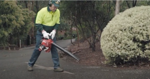 How to Use a Leaf Blower Like a Professional