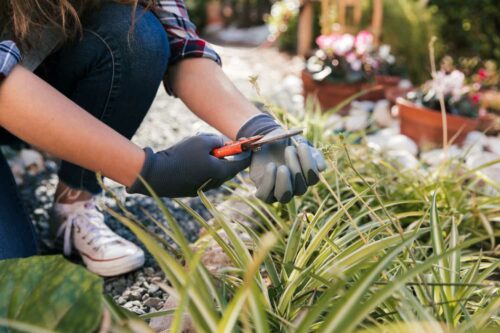 Outdoor Spring Cleaning Checklist