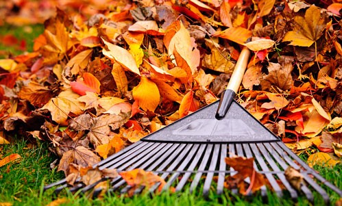 Top 3 Autumn Garden Pests