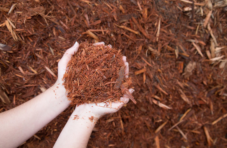 Jim's Mowing - Mulching in Autumn