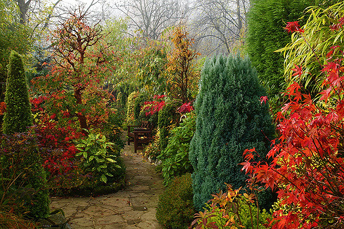 garden in autumn