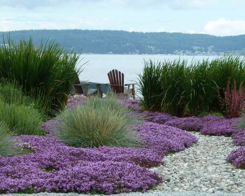 Overcoming the Challenges of Gardening by the Seaside