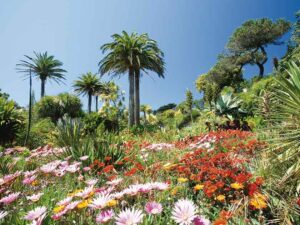 beach-garden