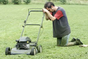 Tenant Guide To Garden Maintenance