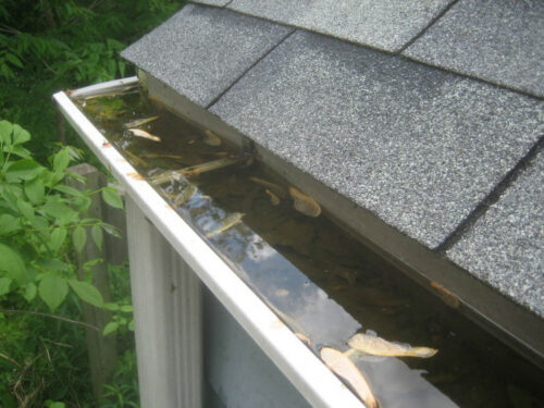 How Clean Are Your Gutters?