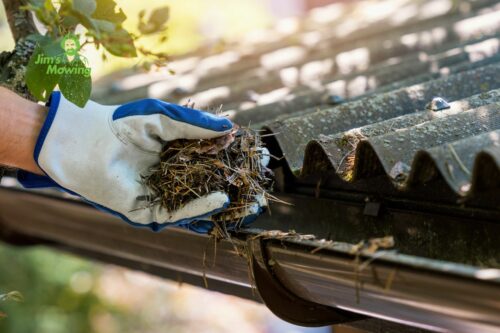 Cleaning Gutters