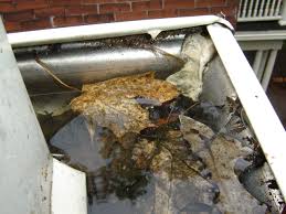 The Importance Of Regular Gutter Cleaning