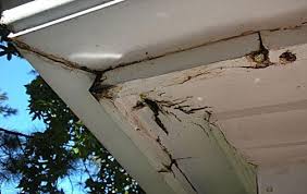 clogged gutter cracks