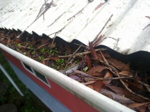 clogged-gutters