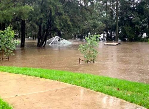 How to recover your lawn after flooding and heavy rain