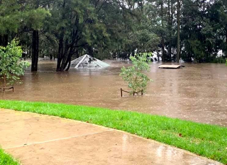 flooding lawn