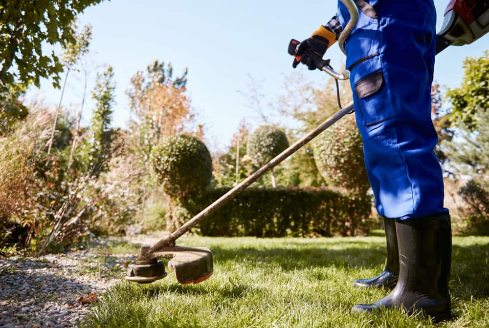 garden and outdoor cleaning