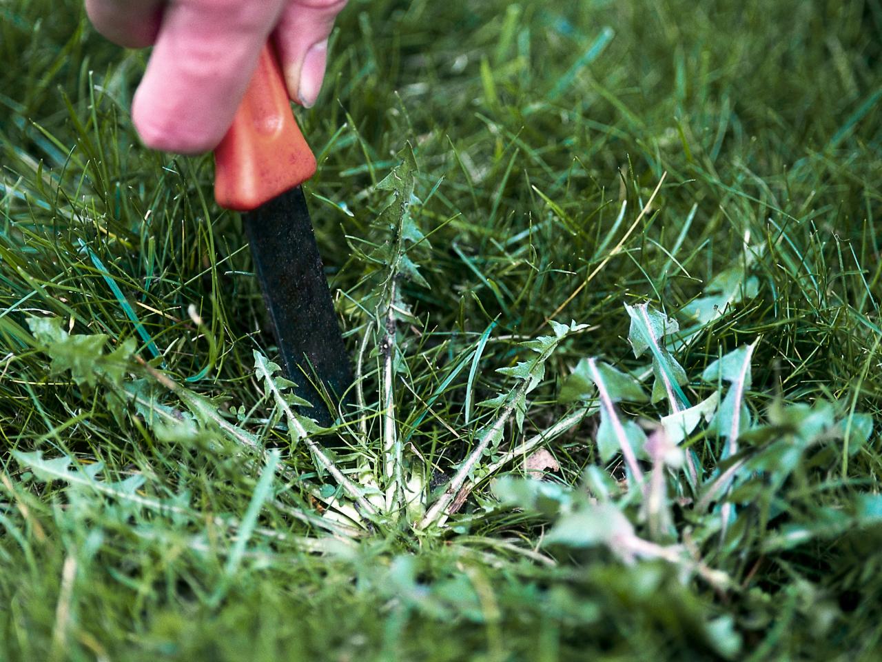 Jim's Mowing