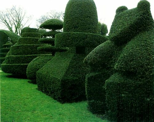 6 Unique Hedge Design Ideas