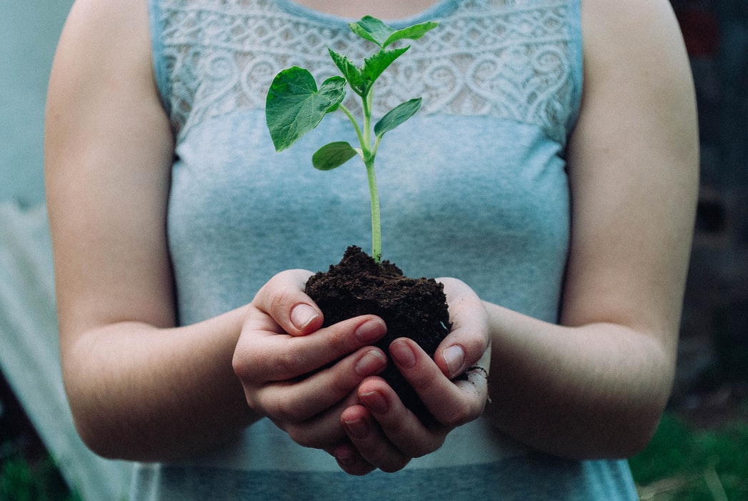 Woman holding soil with a plant sprouting out of it.