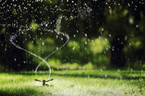 Garden sprinkler