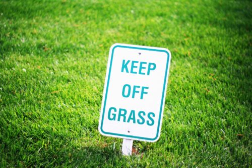 Identifying Different Lawn Diseases