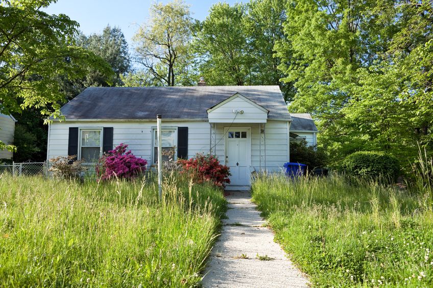 Garden Maintenance needed badly on overgrown front yard