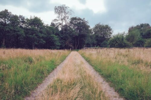 How to Mow Long Grass