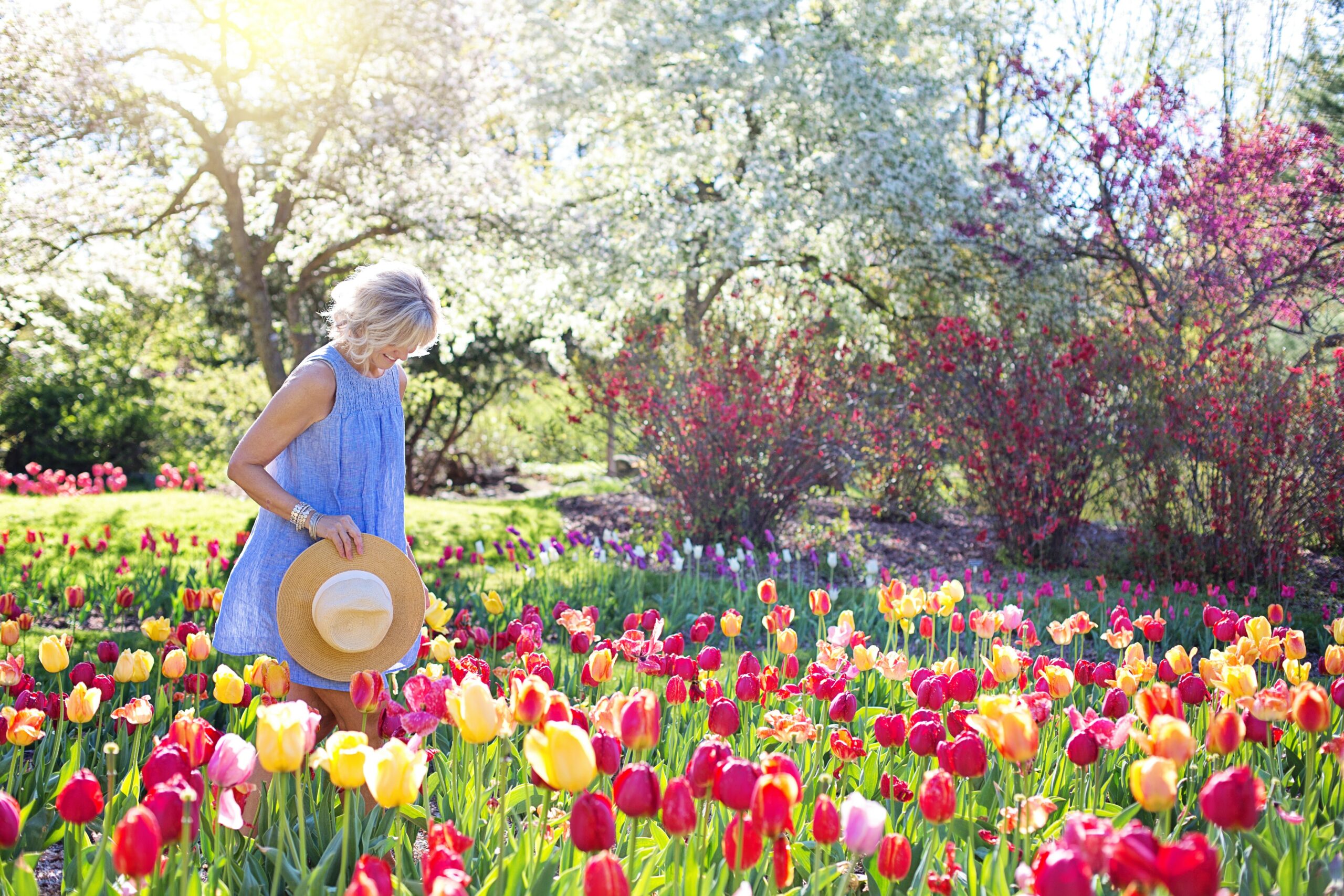 Woman walking through fields of tulips