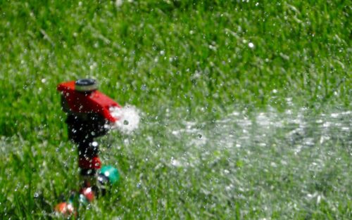 The Best Time to Water Your Lawn