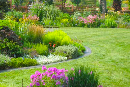 Top 3 Landscaping Ideas For Large Backyards