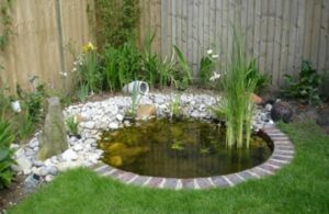 small-garden-pond-design