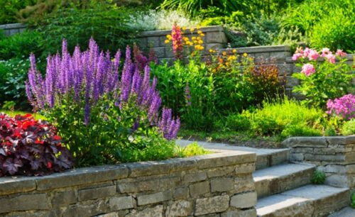 Adding a Splash of Colour to Your Garden