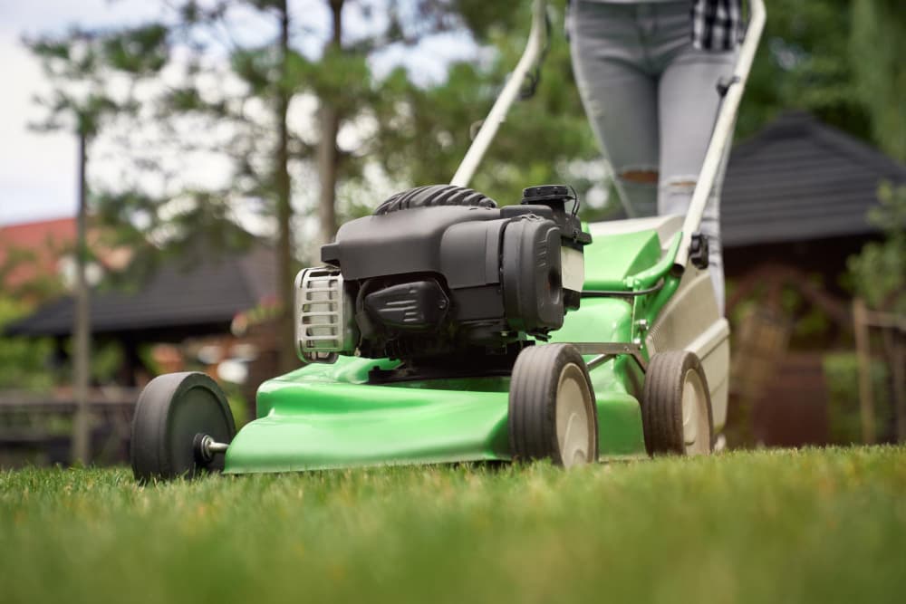 spring cleaning your lawn