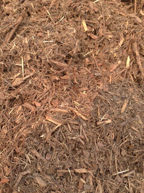 teatreemulch