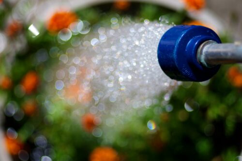 8 Tips For A Water Wise Garden