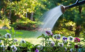 watering can