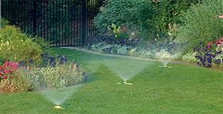 watering lawn