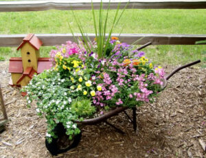 Wheelbarrow Planted with Flowers